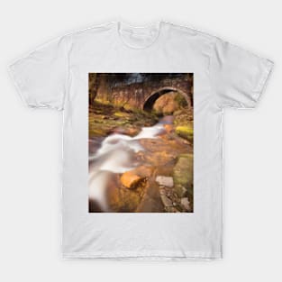 Cumbrian Flow T-Shirt